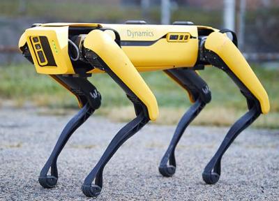 ردیابی خرابی دکل های برق با سگ روباتیک